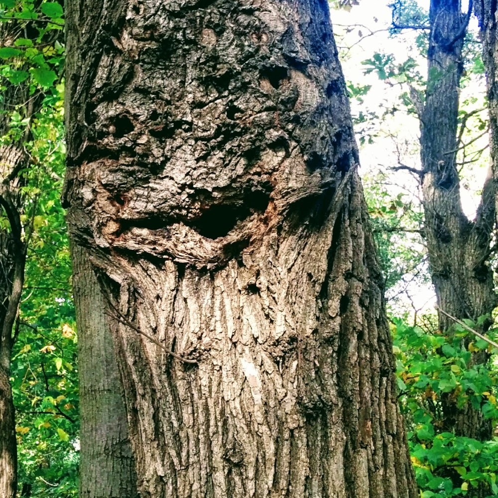 Meet your Posher, Darcie